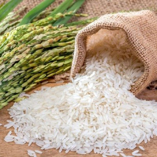 1718-basmati-rice